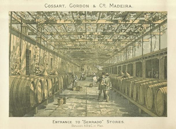 Entrance to Serrado Stores