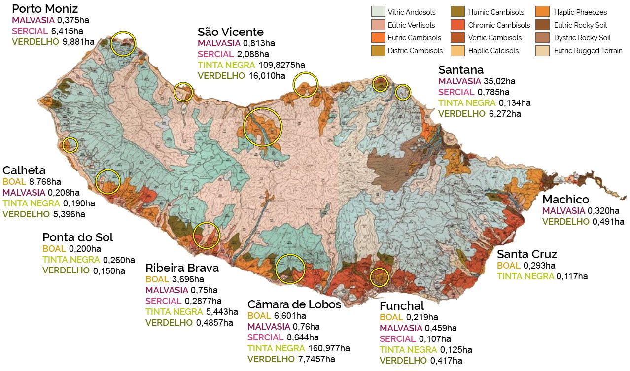 grape varieties distribution map